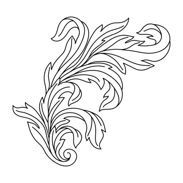 Decorative floral element in baroque style. Engraved black curling plant. Vintage swirling motif.