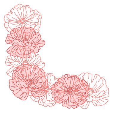 Haşhaş çiçekleriyle dolu bir arka plan. Güzel dekoratif bitkiler. Doğal illüstrasyon.