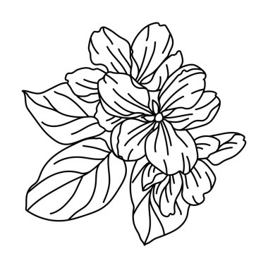 Elma ağacı çiçeğinin resmi. Güzel dekoratif bitki. Doğal görüntü.