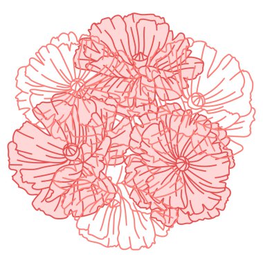 Haşhaş çiçekleriyle dolu bir arka plan. Güzel dekoratif bitkiler. Doğal illüstrasyon.