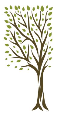 Yeşil yapraklı bahar ya da yaz ağacı. Doğal illüstrasyon.