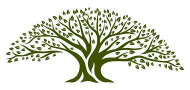 Yeşil yapraklı bahar ya da yaz ağacı. Doğal illüstrasyon.