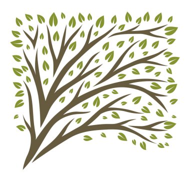 Yeşil yapraklı bahar ya da yaz ağacı. Doğal illüstrasyon.