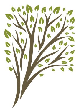 Yeşil yapraklı bahar ya da yaz ağacı. Doğal illüstrasyon.