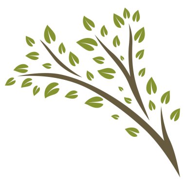 Yeşil yapraklı filiz tasviri. Dekoratif doğal bitki.