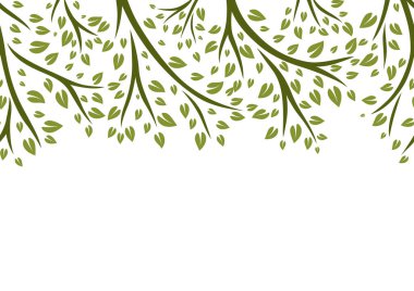 Yeşil yapraklı, pürüzsüz filiz deseni. Dekoratif doğal bitkiler.