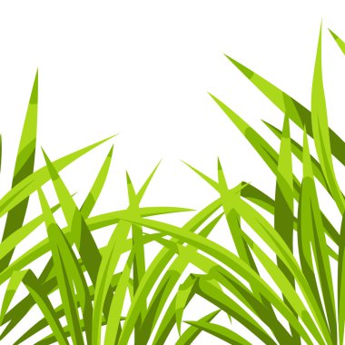 Yeşil çimenli bir arka plan. Güzel dekoratif yaz çimenleri. Doğal illüstrasyon.