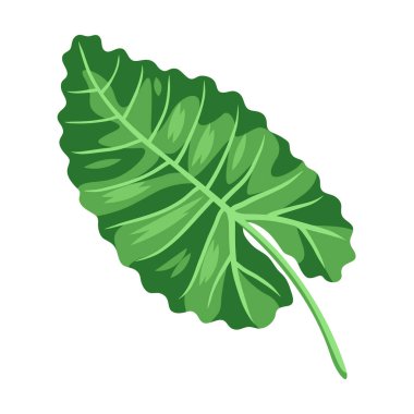 Şekillendirilmiş palmiye yaprağı. Tropik yeşillik ve bitkinin dekoratif görüntüsü.