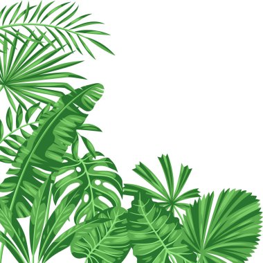 Arka planda stilize palmiye yaprakları var. Tropikal bitki ve yaprakların dekoratif görüntüsü.