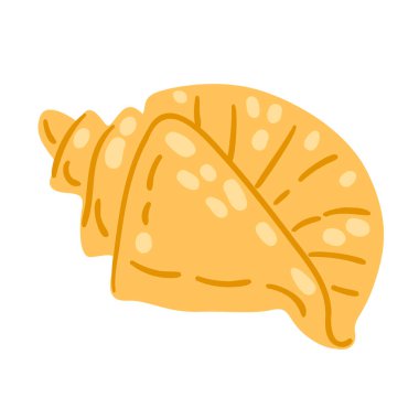 Deniz kabuğunun tasviri. Doğal sembol simgesi. Deniz tatlısı dekoratif eşya.