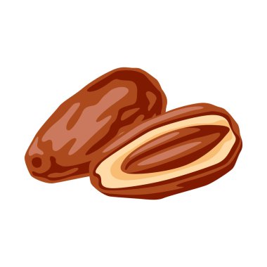 Meyvelerin çizimi. Sağlıklı yaşam tarzı için tropik tatlı vejetaryen yemekleri.