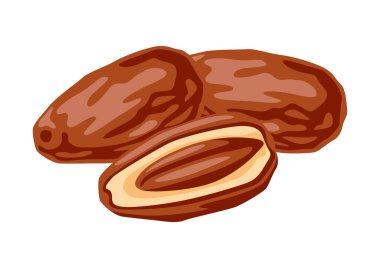 Meyvelerin çizimi. Sağlıklı yaşam tarzı için tropik tatlı vejetaryen yemekleri.