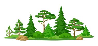 Bahar ya da yaz ormanı. Tarzlı ağaçlarla dolu bir arka plan. Mevsimsel doğa illüstrasyonu.