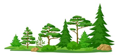 Bahar ya da yaz ormanı. Tarzlı ağaçlarla dolu bir arka plan. Mevsimsel doğa illüstrasyonu.