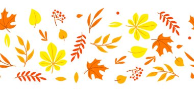 Sonbahar yapraklı desen. Güzel dekoratif doğal bitkiler ve yapraklar. Mevsimlik tasarım.