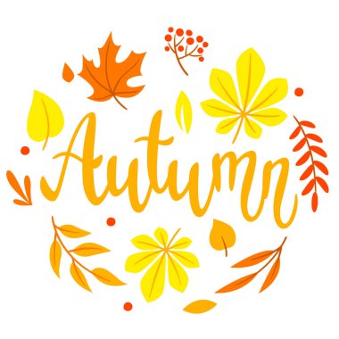 Sonbahar yapraklı arka plan. Güzel dekoratif doğal bitkiler ve yapraklar. Mevsimlik tasarım.