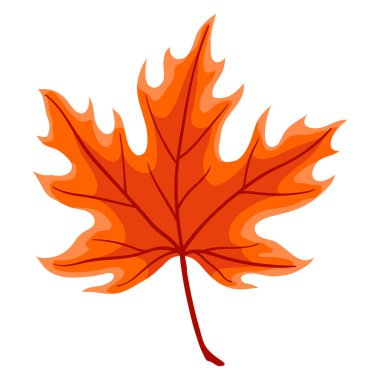 Akçaağaç yaprağı tasviri. Dekoratif güzel sonbahar yaprakları.