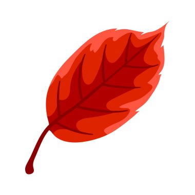 Sonbahar yaprağının resmi. Dekoratif güzel düşen yapraklar.