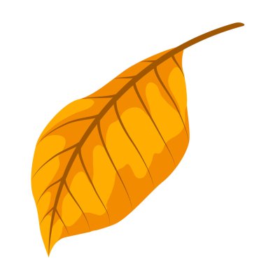 Sonbahar yaprağının resmi. Dekoratif güzel, dökülen kuru yapraklar.