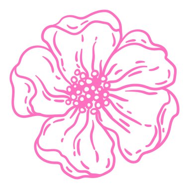 Bahar çiçeğinin resmi. Güzel dekoratif doğrusal bitki. Doğal görüntü.