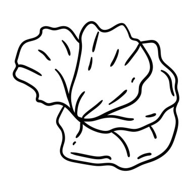 Haşhaş çiçeği tasviri. Güzel dekoratif bitki. Doğal görüntü.