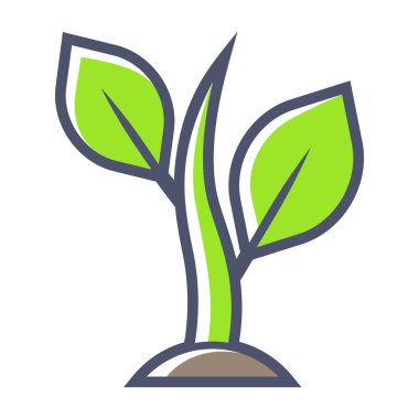 Yapraklı filizler. Tarım, tarım ve tohum yetiştirme. Mevsimlik bahçıvanlık.