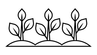 Yapraklı filizler. Tarım, tarım ve tohum yetiştirme. Mevsimlik bahçıvanlık.