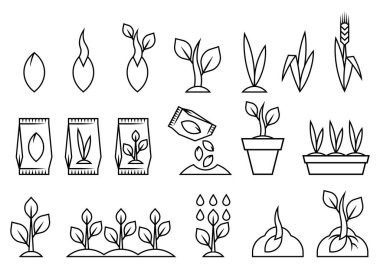 Tohum ekmek ve tohum yetiştirmek. Tarım, tarım ve tohum yetiştirme. Mevsimlik bahçıvanlık.
