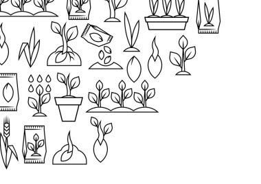 Tohum ekme ve büyüme kartı. Tarım, tarım ve tohum yetiştirme. Mevsimlik bahçıvanlık.