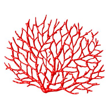 Deniz mercanı tasviri. Deniz yaşamı akvaryumu ve su faunası. Parlak renklerde biçimlendirilmiş resim.