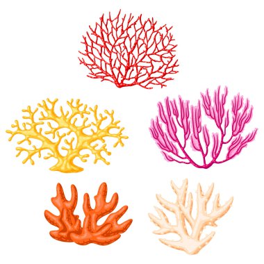 Deniz mercan koleksiyonu. Deniz yaşamı akvaryumu ve su faunası. Parlak renklerde biçimlendirilmiş resim.