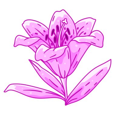 Zambak çiçeği tasviri. Güzel dekoratif bitki. Doğal görüntü.