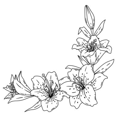 Zambaklı arka plan. Güzel dekoratif bitkiler. Doğal illüstrasyon.