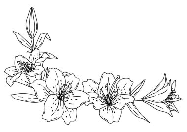 Zambaklı arka plan. Güzel dekoratif bitkiler. Doğal illüstrasyon.