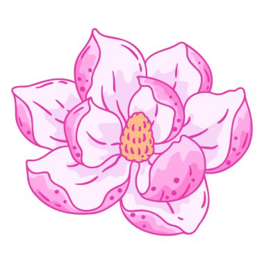 Manolya çiçeğinin resmi. Güzel dekoratif bitki. Doğal görüntü.