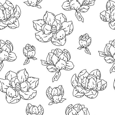 Manolya çiçekli desen. Güzel dekoratif bitkiler. Doğal arkaplan.