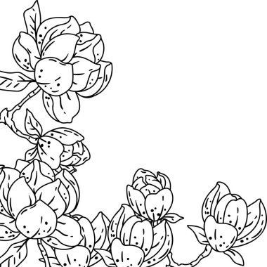 Manolya ile arka plan. Güzel dekoratif bitkiler. Doğal illüstrasyon.