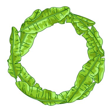 Arka planda muz palmiyesi yaprakları var. Tropikal yeşillik ve bitkilerin dekoratif görüntüsü. Doğrusal doku.