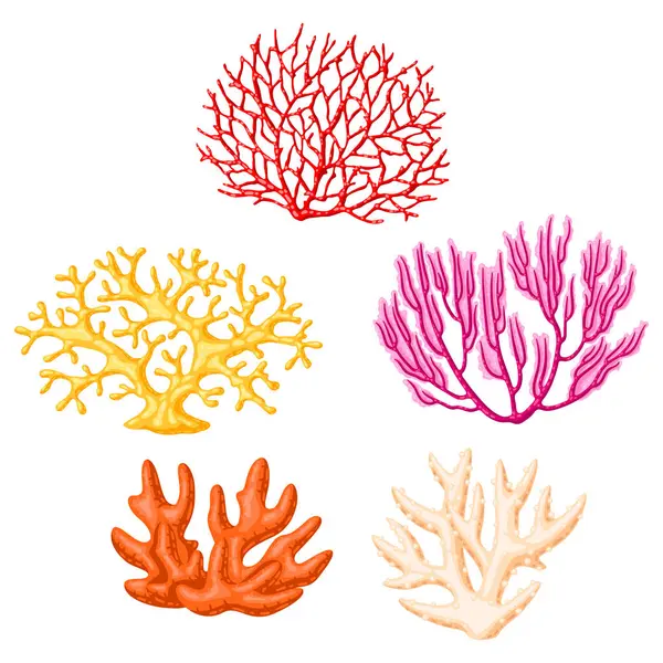 Deniz mercan koleksiyonu. Deniz yaşamı akvaryumu ve su faunası. Parlak renklerde biçimlendirilmiş resim.