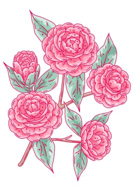 Kamelya dalının tasviri. Güzel dekoratif bitki. Doğal görüntü.