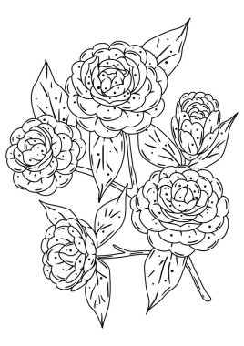 Kamelya dalının tasviri. Güzel dekoratif bitki. Doğal görüntü.