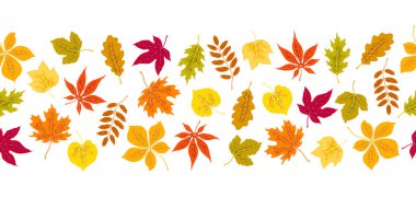 Sonbahar yapraklı desen. Çeşitli yeşilliklere sahip bir arka plan. Dekoratif güzel bitkiler.