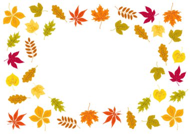 Sonbahar yapraklarıyla çerçevelenmiş. Çeşitli yeşilliklere sahip bir arka plan. Dekoratif güzel bitkiler.