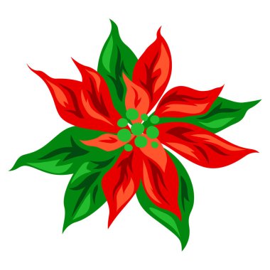 Pointsettia 'nın yansıması. Mutlu Noeller ve mutlu yeni yıl çiçekleri. Tatil dekorasyonu.