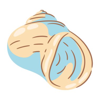 Deniz kabuğu tasviri. Tropik sualtı dekoratif yumuşakça kabuğu.