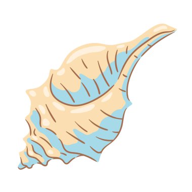 Deniz kabuğu tasviri. Tropik sualtı dekoratif yumuşakça kabuğu.