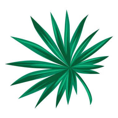 Stylize edilmiş livistona palmiye yaprağı. Tropikal yeşillik ve bitkinin dekoratif görüntüsü. Egzotik doğa.