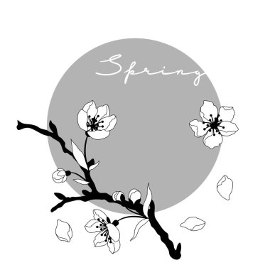 Bahar çiçekleriyle dolu bir arka plan. Elma, sakura veya kiraz çiçeği. Güzel dekoratif bitkiler. Doğal illüstrasyon.