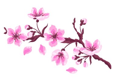 Çiçekli dalın tasviri. Elma, sakura veya kiraz çiçeği. Güzel dekoratif çiçek açan bitki.