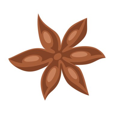 Yıldız anason tasviri. Yemek tarifi ve menü ögesi için biçimlendirilmiş yiyecek nesnesi.